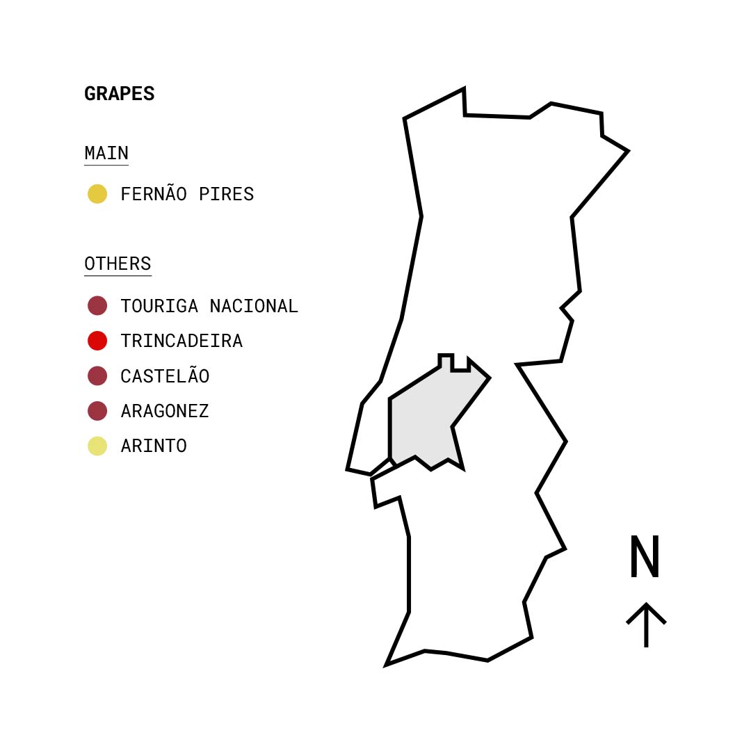 Tejo Portugal wine Zone